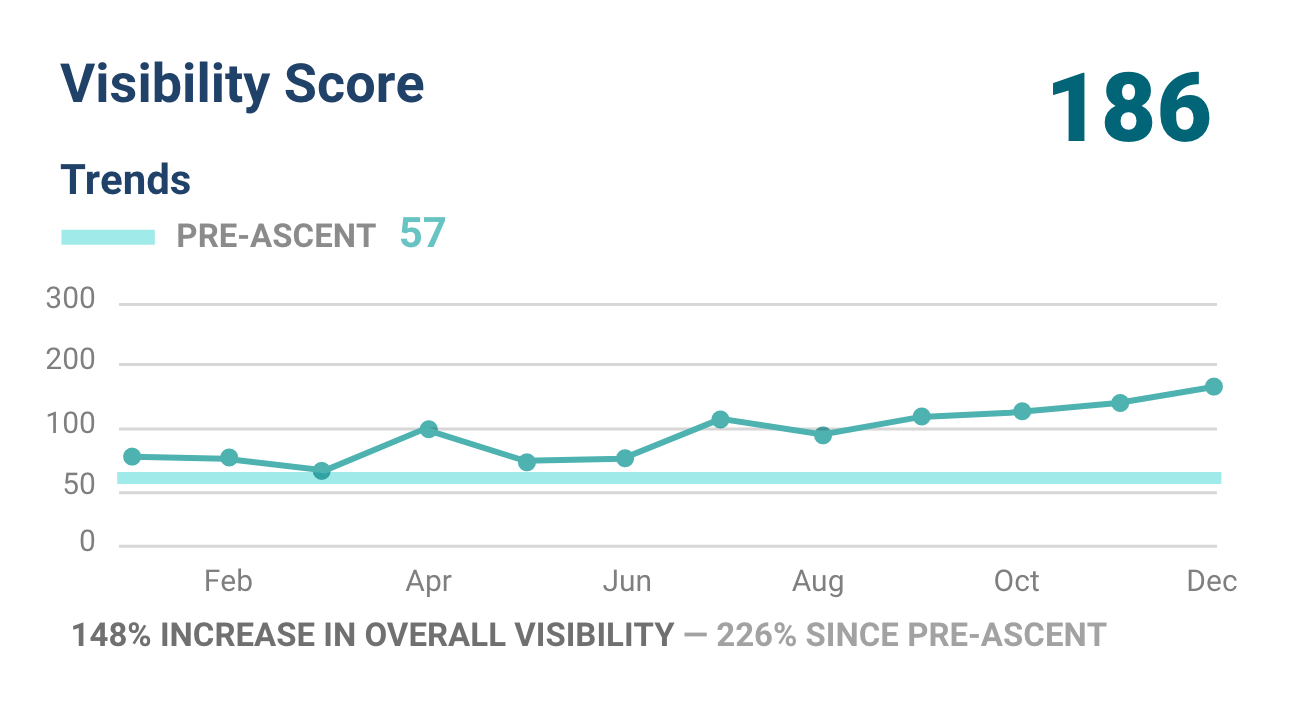 Online Visibility Tracking Report