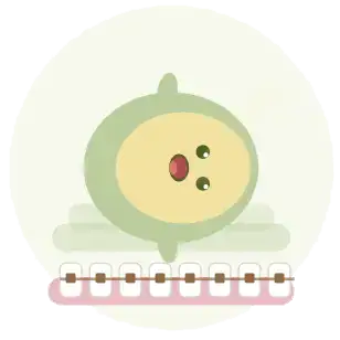 Placement of braces or start of aligner treatment to begin gradually shifting your teeth