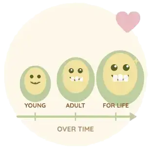 Long-term support for your overall oral health